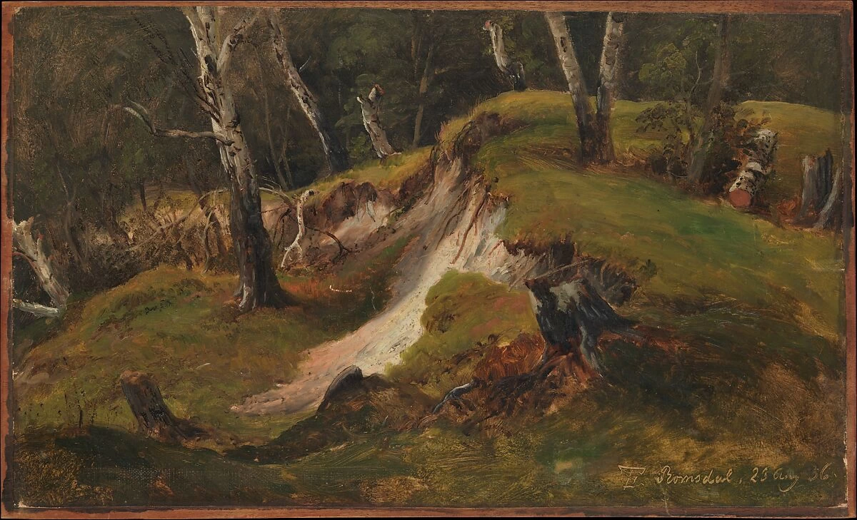 Scarpata con ceppi di albero, Romsdal - 1836, MET Museum